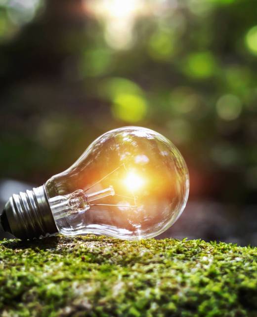 energy power lightbulb in nature energy power lightbulb in nature